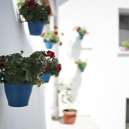 Pansion Rose Hotel Mostar Bagian luar foto