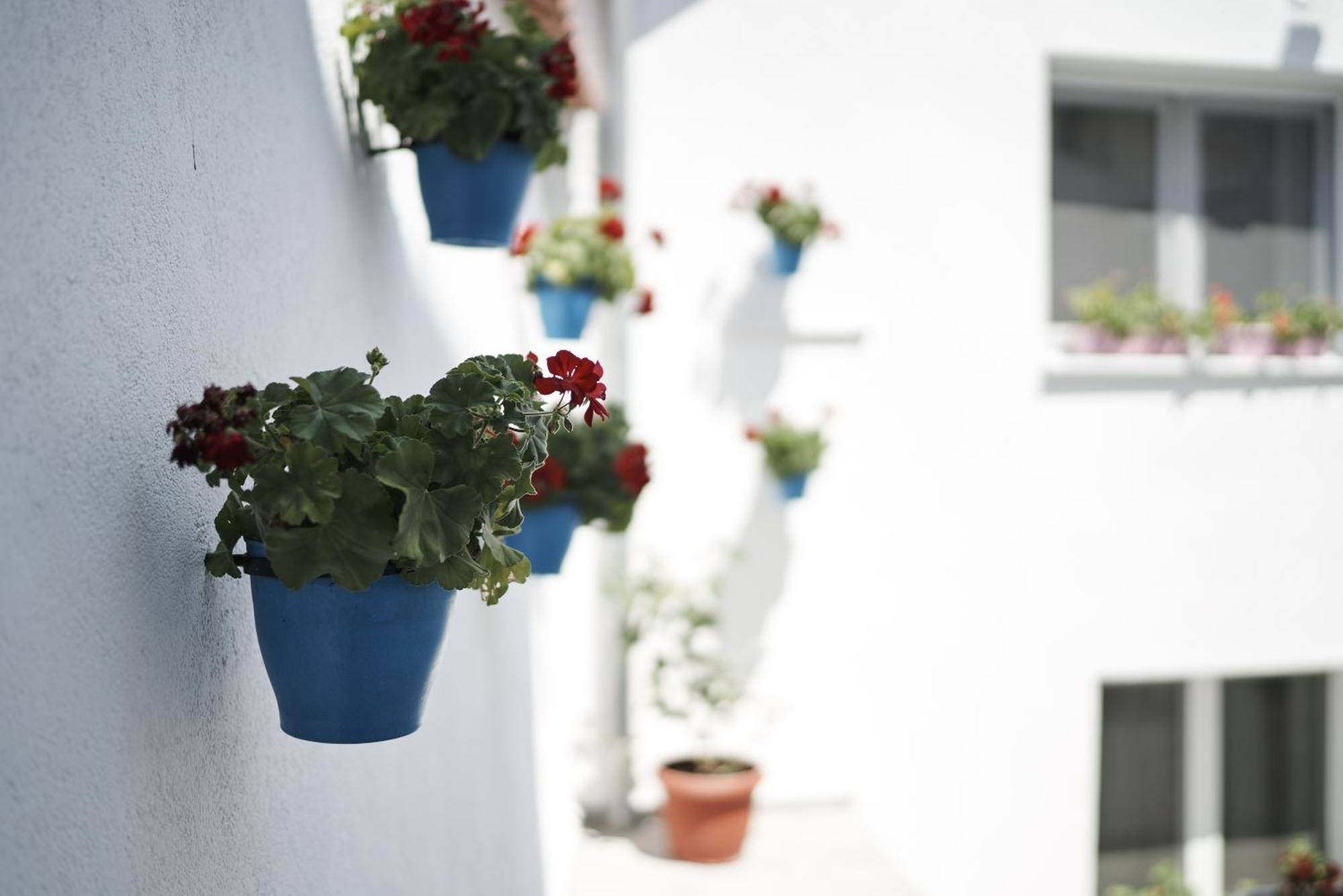 Pansion Rose Hotel Mostar Bagian luar foto